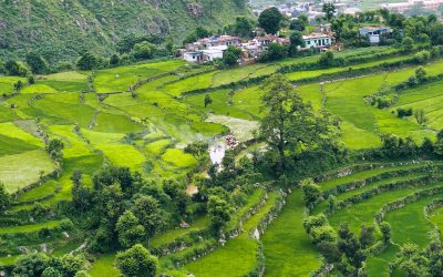 पहाड़ी जंगलों के बीच 8 सर्वश्रेष्ठ घाटी कृषि गांव